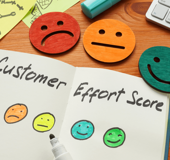 Customer Effort Score